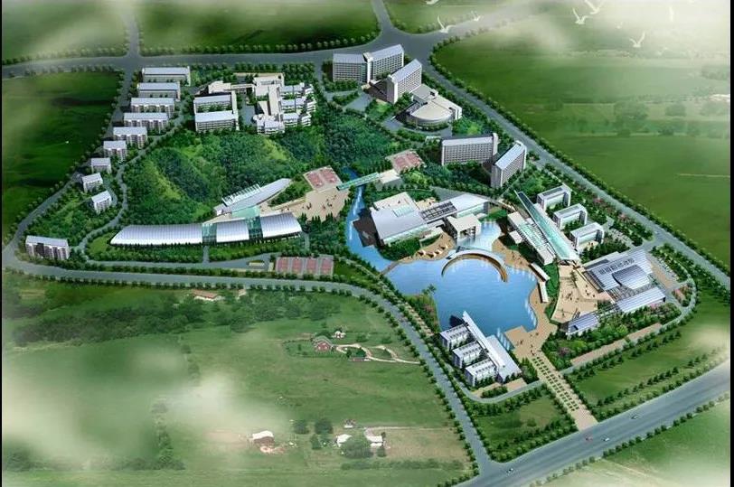 1597988593935187.jpg 7.jpg